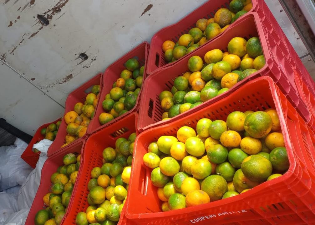 alimentos9
